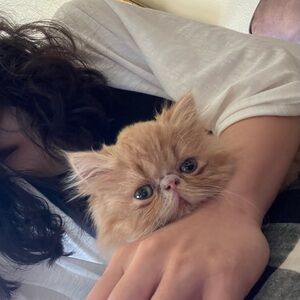 Meet your Posher, Nina